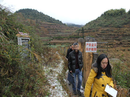 ������鿴����������ԭ����������