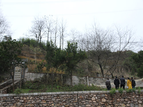 �鿴ǭ��Ұ��������ԭ����������