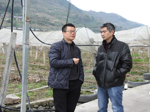 ��ǭ������̬ũҵ�����Ե��ũҵ�����������ʾ����Ŀ����ȡ��������㱨