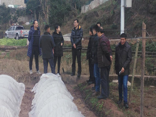 �����������ڰ�������������·��鿴������ֲ��������ֳ�