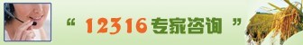 12316 ר����ѯ