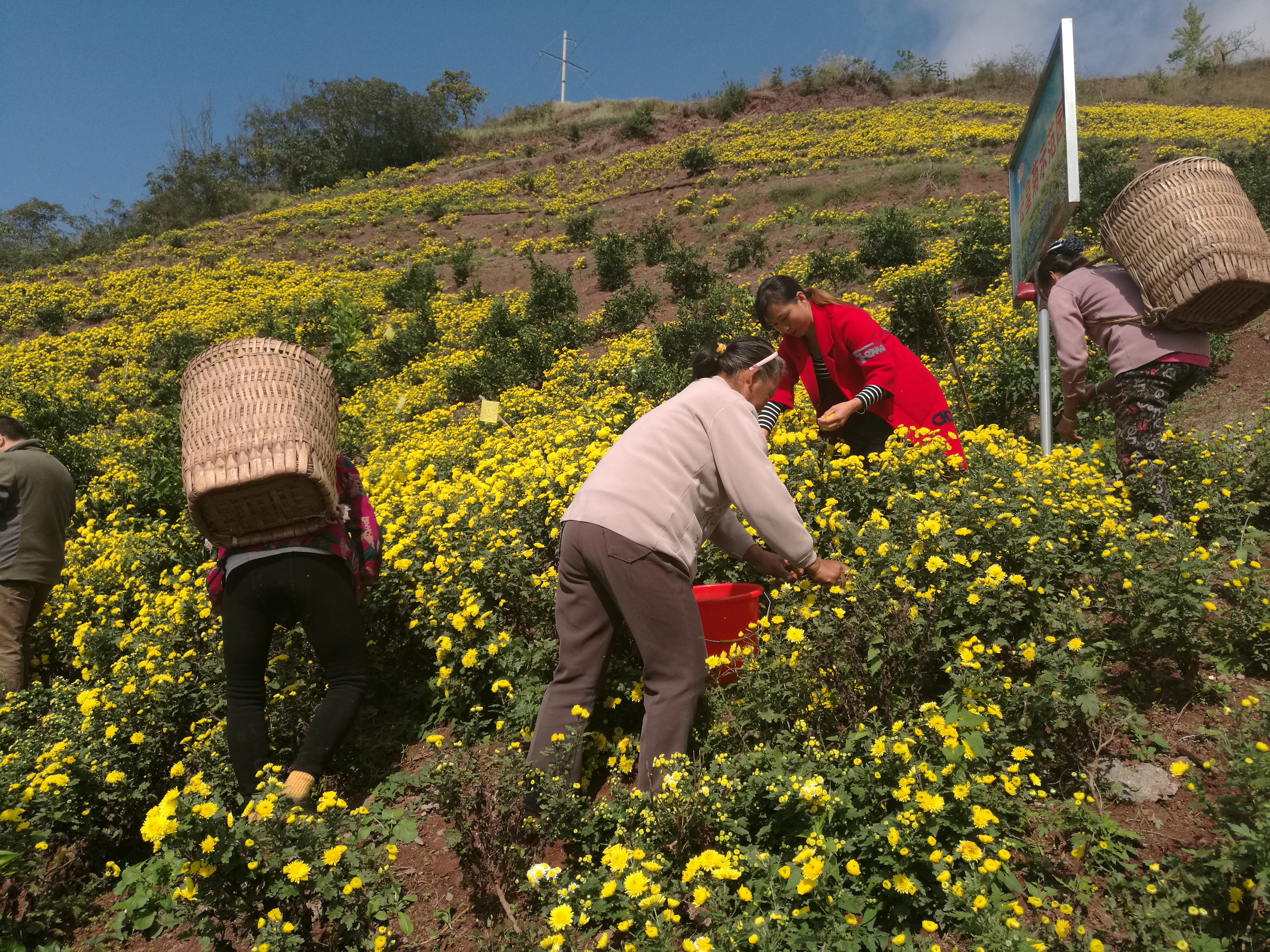 Ŀǰ�������ڲ�ժ�ջ�