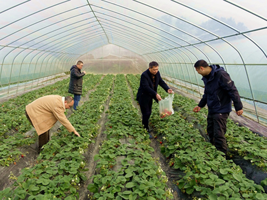 2�����Ա�ڲ�ժ�����ֳ�ȡ��