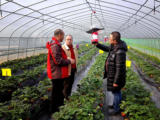 3�����ɫ���ش�ʩִ�����