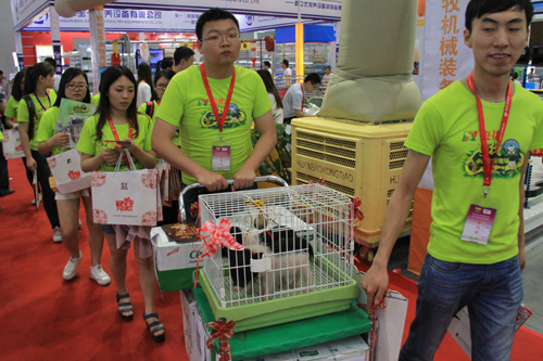 ��������չ������