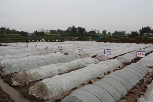 ����չʾ�ֳ�