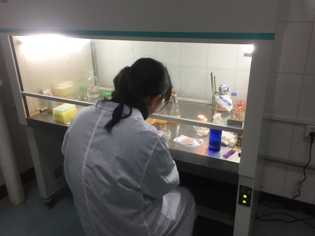 ��ԭ����