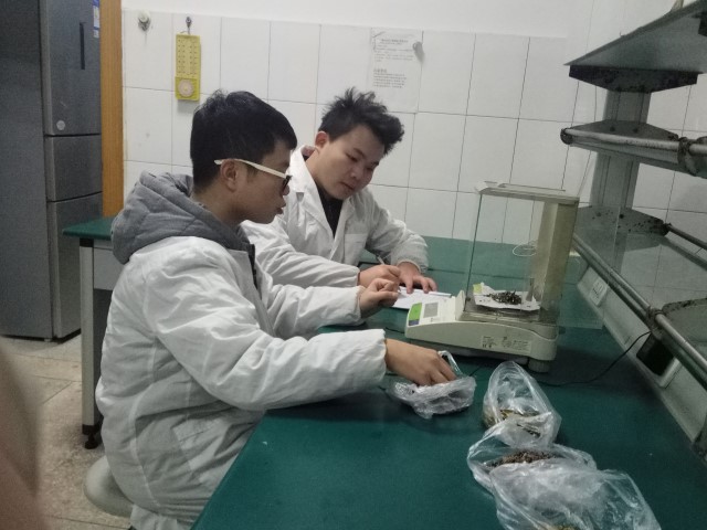 ��ҩ�鷽����