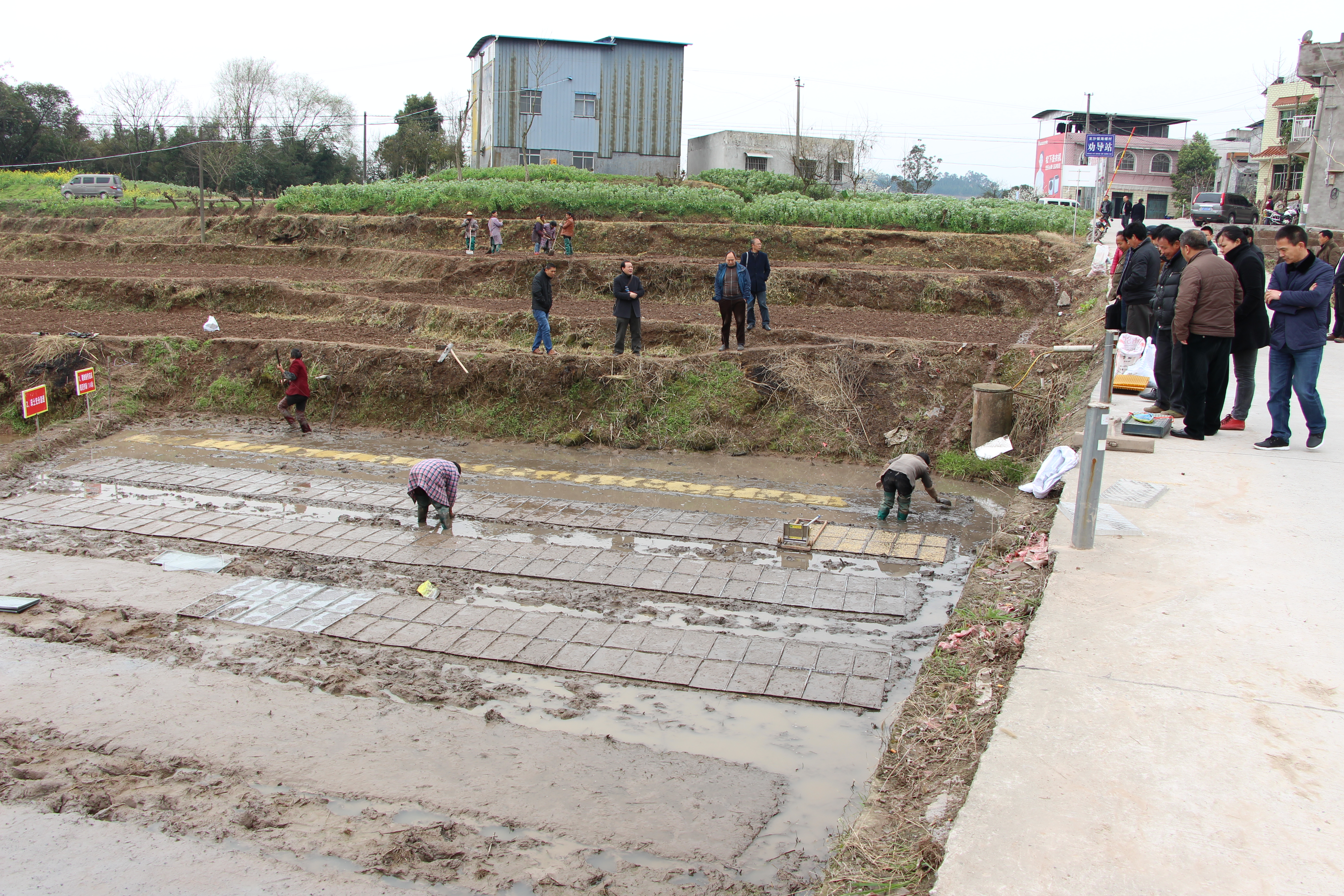 ������������ѵ