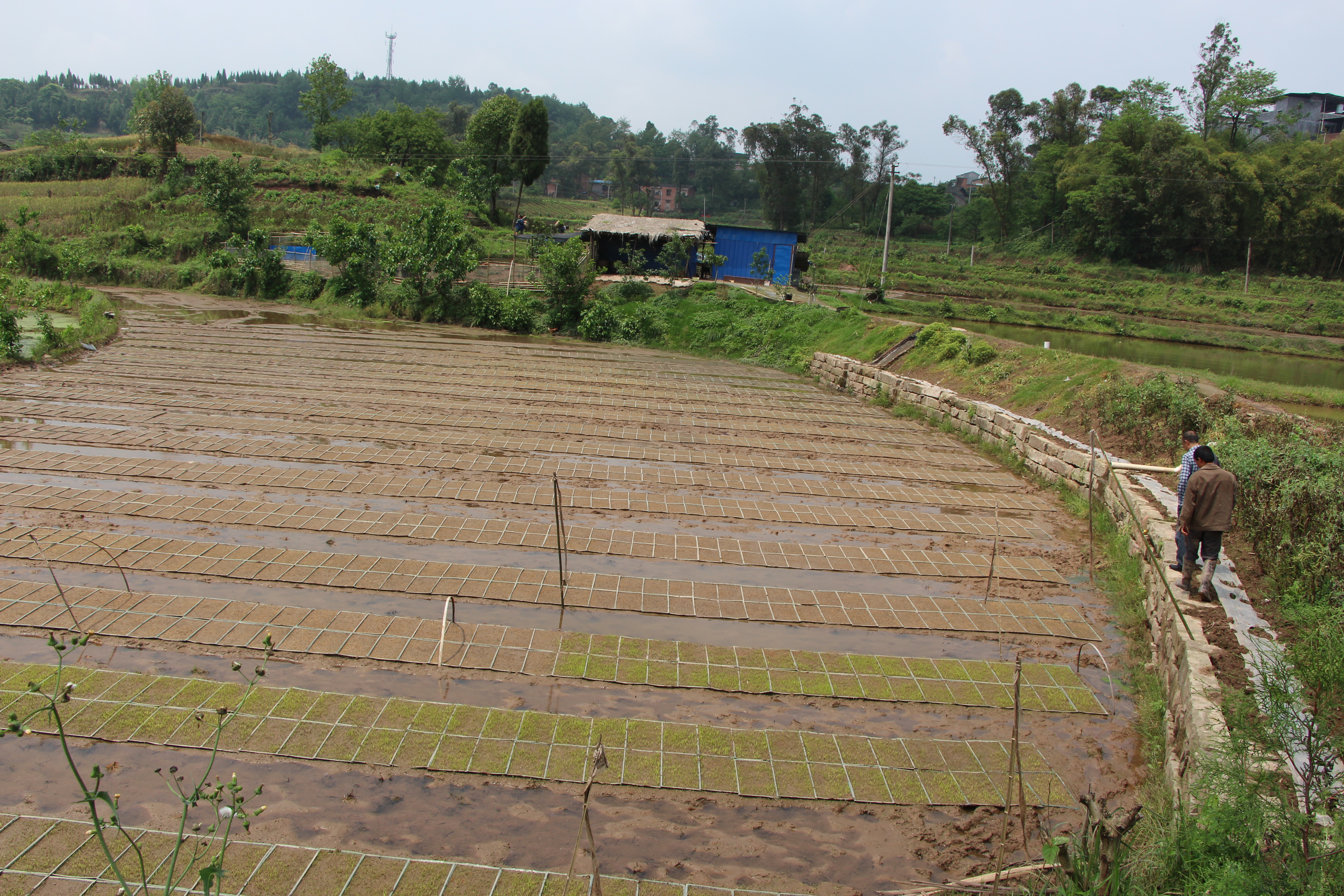 ָ����������������