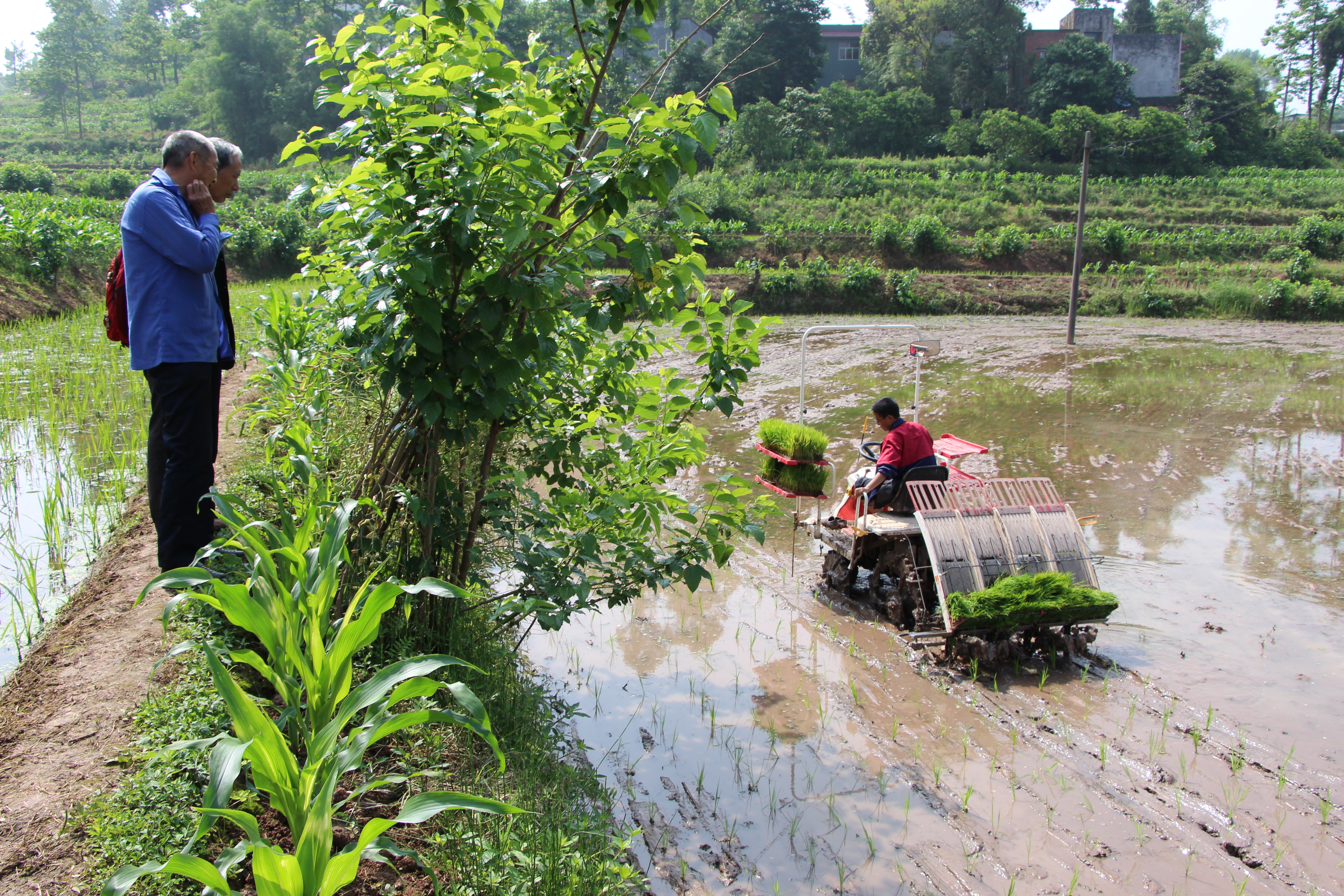 ȡ��ũ���������ڻ�����ҵ