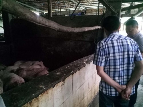 ����˫�����վ