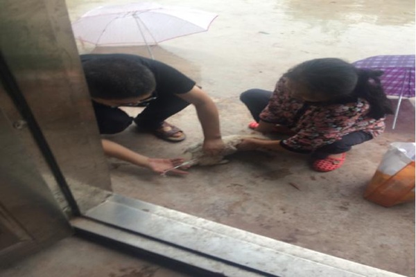 ������Աʵʩ����ǿ������