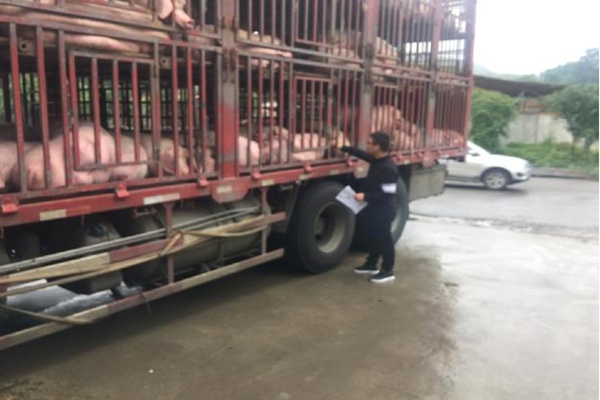 פ���׳��ٷ���ҽ�ϸ�˲鶯�����֤�����볡����