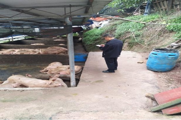 פ����ҽ�����Ų���ֳ�������������