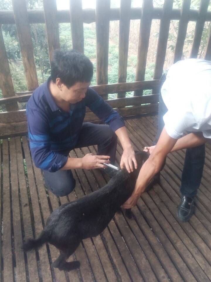 ��չ����