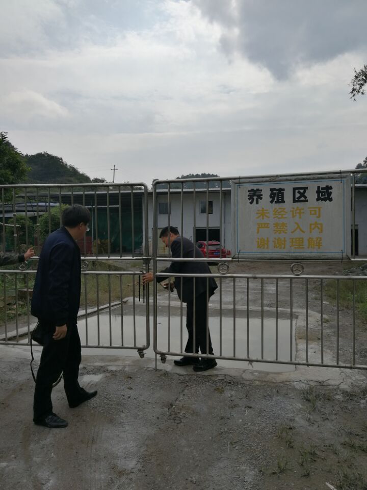 ������ֳ��