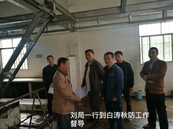 �������׳�