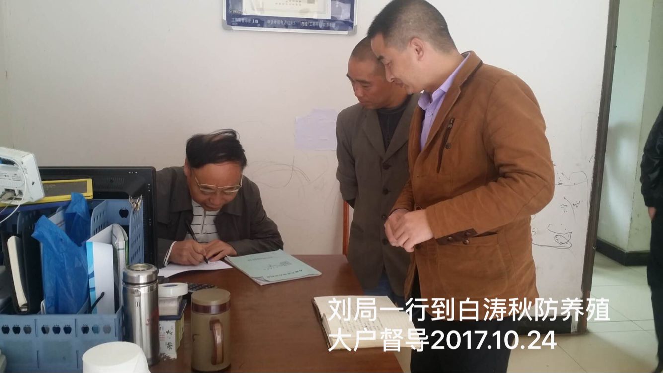 �������ߵ���