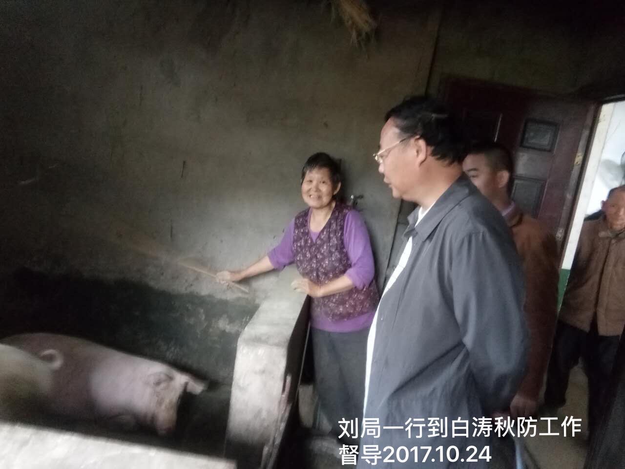 ���ɢ������