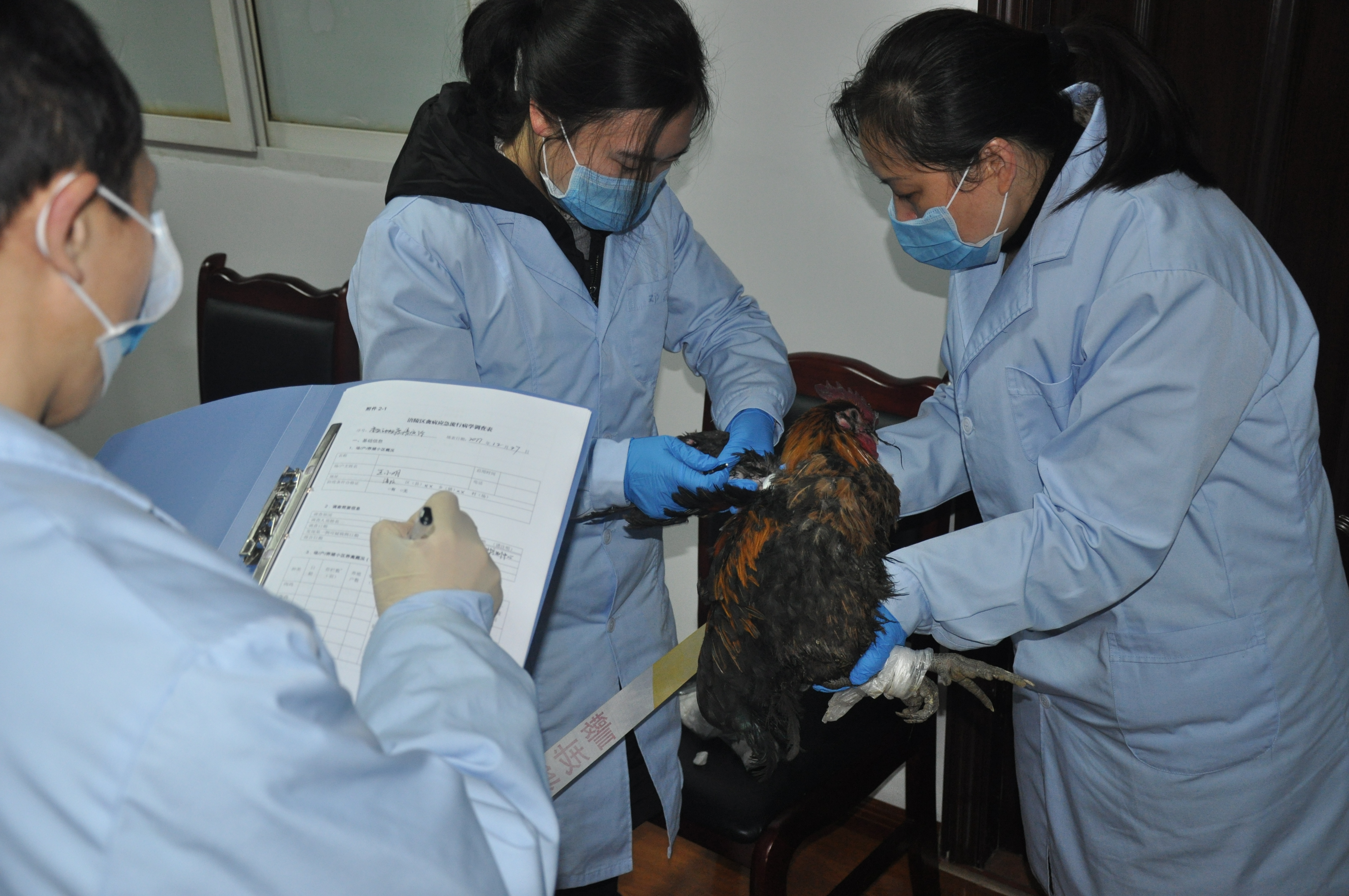 ���������ֳ�2