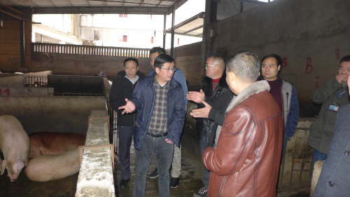 �ֳ��鿴�����������