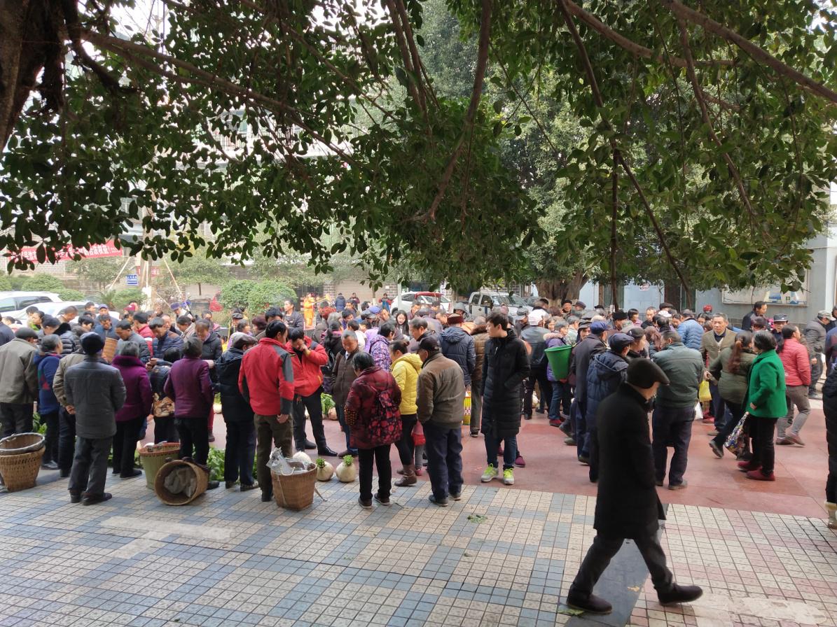 �����ֳ������ֳ���